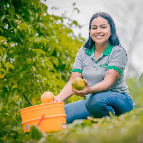 Foto corporativa de una trabajadora en un campo de mandarinas