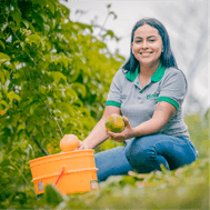 Foto corporativa de una trabajadora en un campo de mandarinas