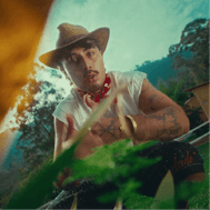 Hombre joven con sombrero inclinado detras de plantas mirando a la cámara