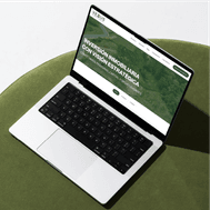 Diseño de la web para Vexus